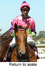 Return to scale (15361 bytes)