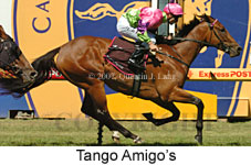 Tango Amigos (14872 bytes)