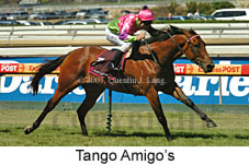 Tango Amigos (14872 bytes)