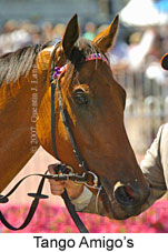Tango Amigos (14872 bytes)