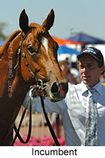 Incumbent (14872 bytes)