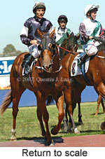 Return to scale (15361 bytes)