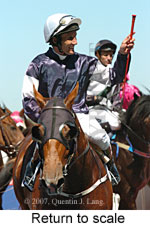 Return to scale (15361 bytes)