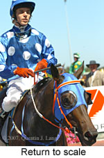 Return to scale (15361 bytes)