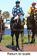 Return to scale (15361 bytes)