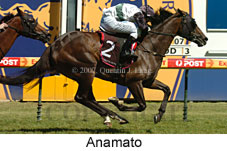 Anamato (14872 bytes)