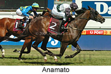 Anamato (14872 bytes)