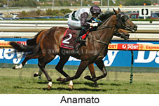 Anamato (14872 bytes)