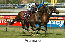 Anamato (14872 bytes)