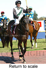 Return to scale (15361 bytes)