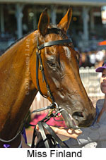 Miss Finland (14872 bytes)