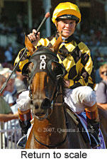 return to scale (15361 bytes)