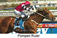 Pompeii Ruler (14872 bytes)