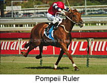 Pompeii Ruler (14872 bytes)