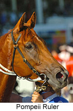 Pompeii Ruler (14872 bytes)