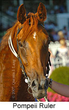 Pompeii Ruler (14872 bytes)