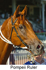 Pompeii Ruler (14872 bytes)