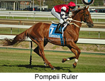 Pompeii Ruler (14872 bytes)