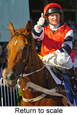 return to scale (15361 bytes)