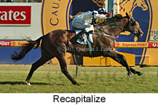 Recapitalize (14872 bytes)