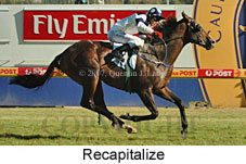 Recapitalize (14872 bytes)