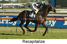 Recapitalize (14872 bytes)