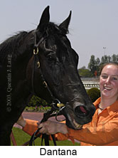 Danatana (10907 bytes)