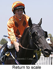 Return to scale (14323 bytes)