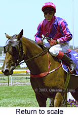 Return to scale (15486 bytes)