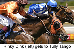 Rinky Dink (20709 bytes)