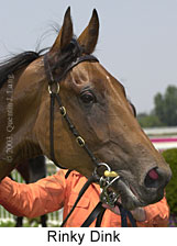 Rinky Dink (12549 bytes)