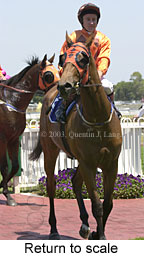 Return to scale (15198 bytes)