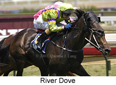 River Dove (14406 bytes)