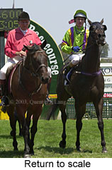 Return to scale (16220 bytes)