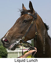 Liquid Lunch (11481 bytes)