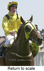 Return to scale (12657 bytes)