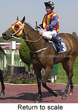 Return to scale (15767 bytes)