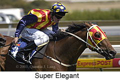 Super Elegant (16752 bytes)