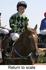 Return to scale (13900 bytes)