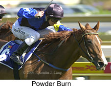 Powder Burn (15995 bytes)