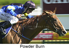 Powder Burn (15378 bytes)