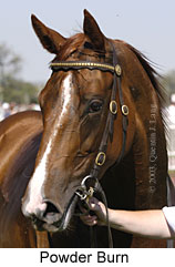 Powder Burn (12999 bytes)