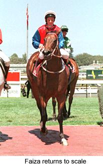 2faizatoscale.jpg (16090 bytes)