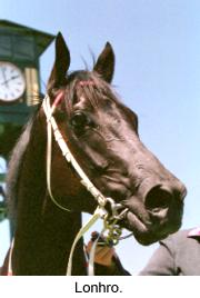 3lonhro3.jpg (9348 bytes)