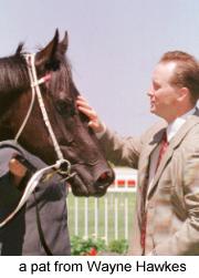 3waynehawkes.jpg (10033 bytes)