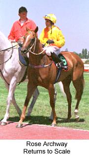 4rosearchtoscale.jpg (14297 bytes)