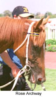 4rosearchway2.jpg (12240 bytes)