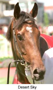 5desertsky2.jpg (11068 bytes)