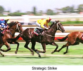 6strategicstrike1.jpg (17086 bytes)