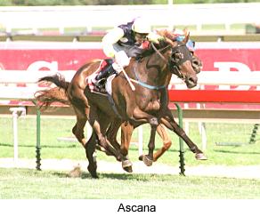 7ascana1.jpg (17242 bytes)